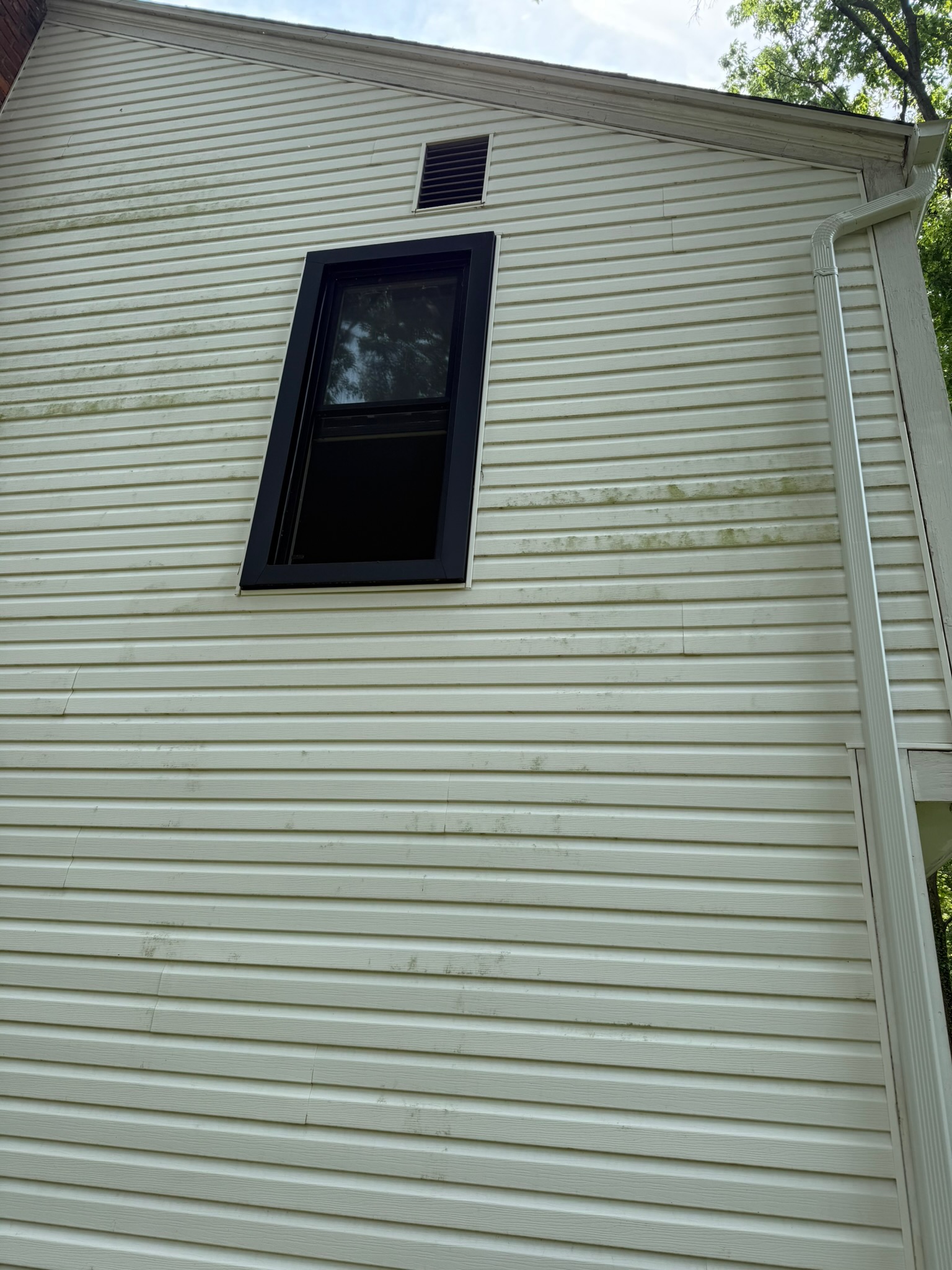 Before soft washing